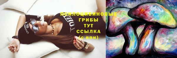 винт Козельск