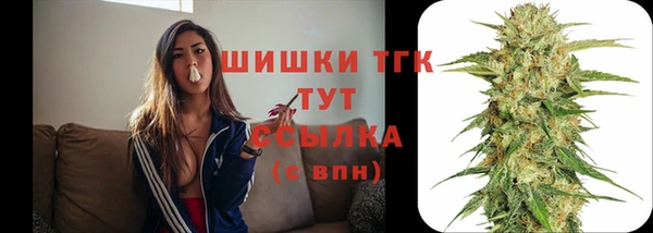 гидропоника Козловка