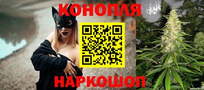 шишки Конаково