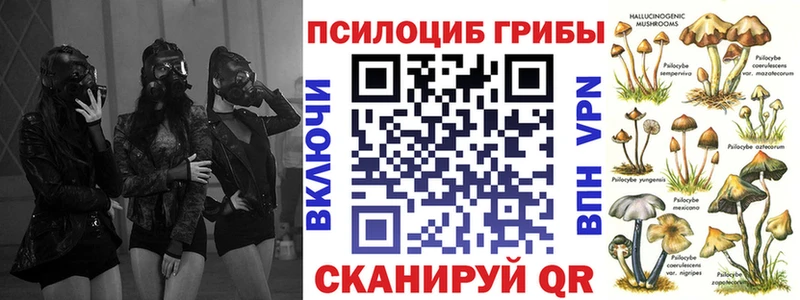 Псилоцибиновые грибы Magic Shrooms  дарк нет Telegram  Армавир 