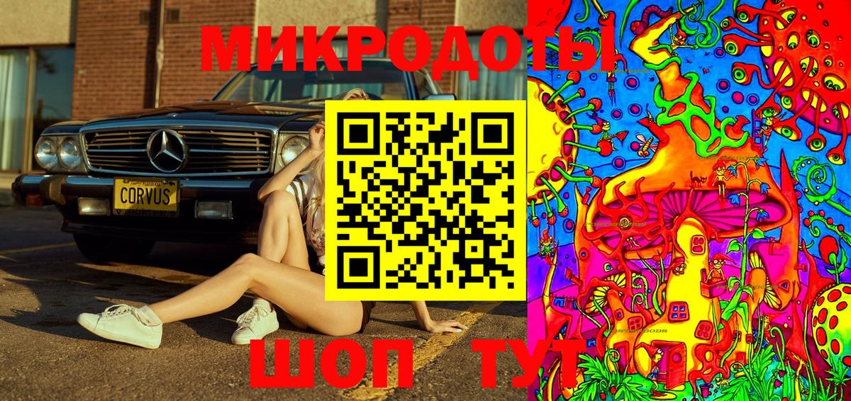 Галлюциногенные грибы Psilocybe Армавир